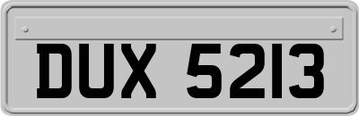 DUX5213
