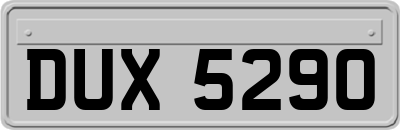 DUX5290