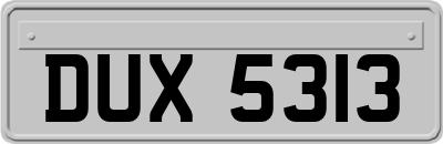 DUX5313