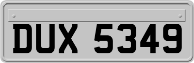 DUX5349