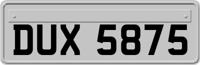 DUX5875