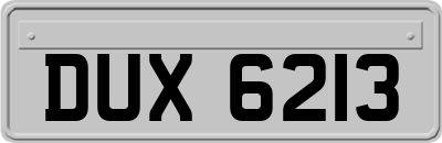 DUX6213