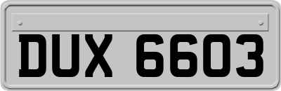 DUX6603