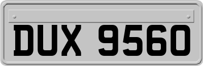 DUX9560