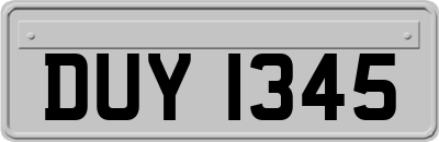 DUY1345