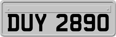 DUY2890