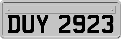 DUY2923