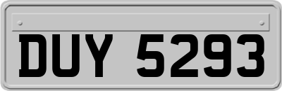 DUY5293