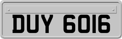 DUY6016