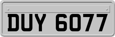 DUY6077
