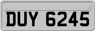 DUY6245