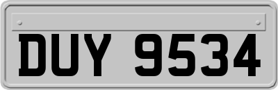 DUY9534