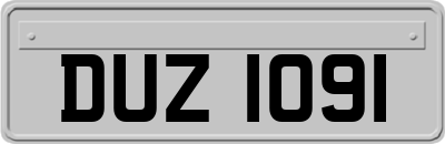 DUZ1091