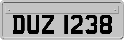 DUZ1238