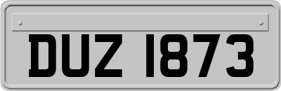 DUZ1873