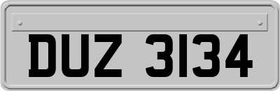 DUZ3134