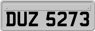 DUZ5273