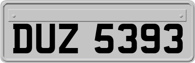 DUZ5393