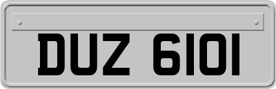 DUZ6101