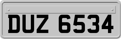 DUZ6534