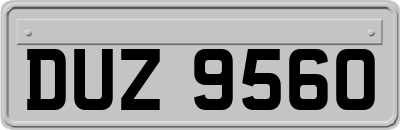 DUZ9560