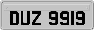 DUZ9919