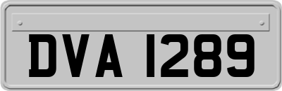 DVA1289