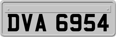 DVA6954