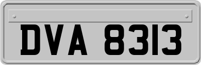 DVA8313
