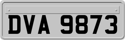 DVA9873