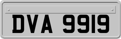 DVA9919