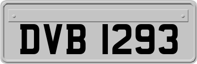 DVB1293