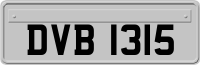 DVB1315