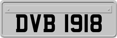 DVB1918