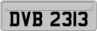 DVB2313