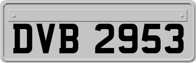 DVB2953