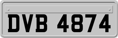DVB4874