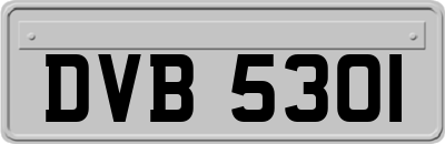 DVB5301