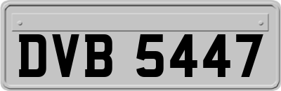 DVB5447