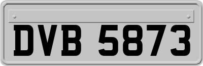 DVB5873