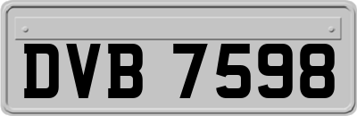 DVB7598