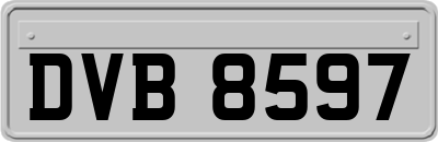 DVB8597