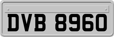 DVB8960