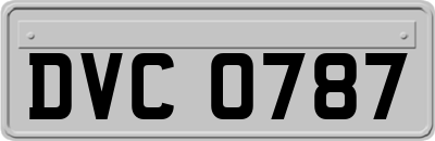 DVC0787