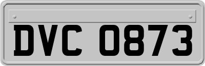 DVC0873