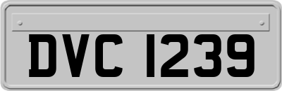 DVC1239