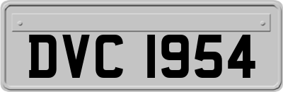 DVC1954
