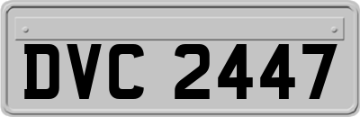 DVC2447