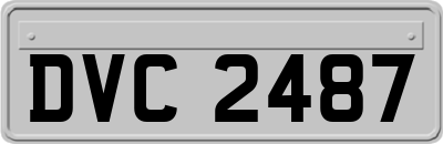DVC2487