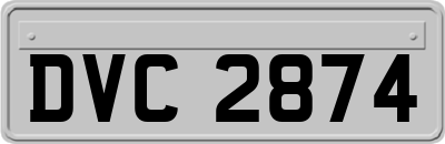 DVC2874